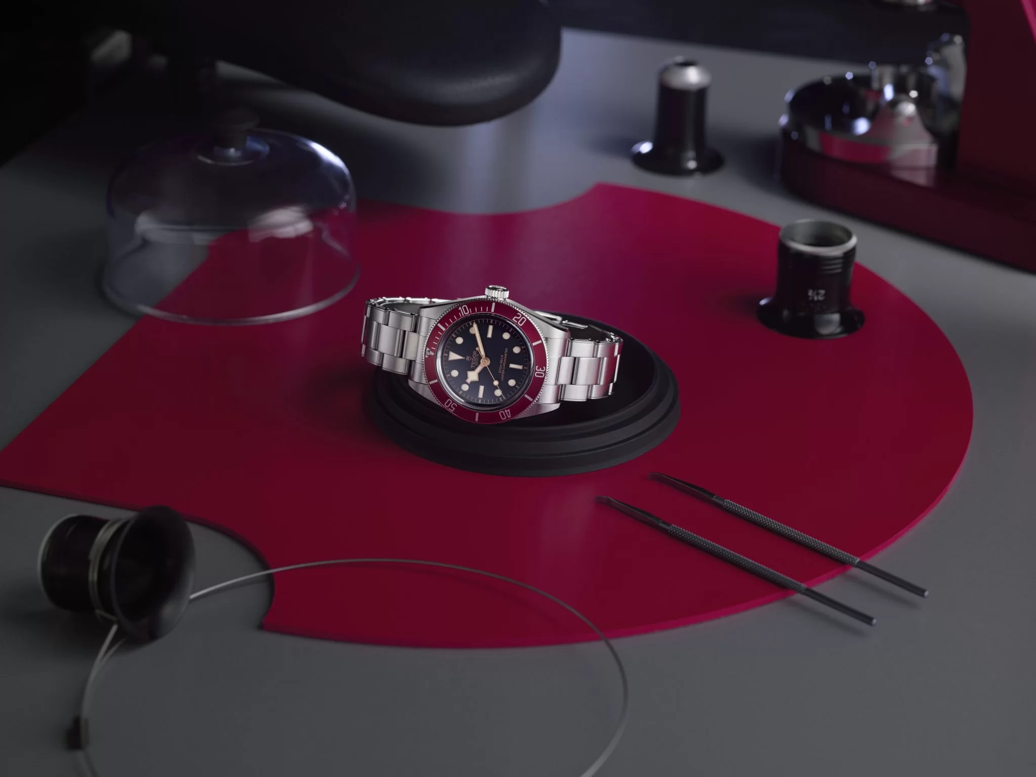 Experience the Power of the Master Chronometer With Tudor - Watch Palace