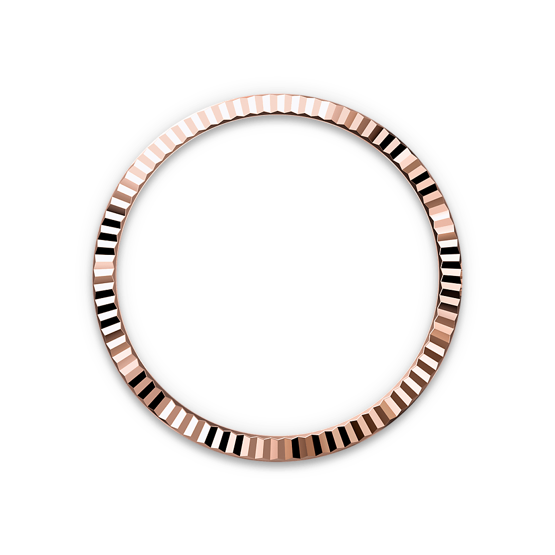 Rolex Datejust in Everose Rolesor - combination of Oystersteel and Everose gold, M126231-0019 - Watch Palace