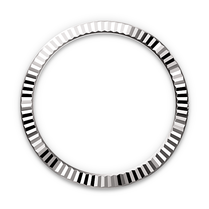 Rolex Datejust in White Rolesor - combination of Oystersteel and white gold, M126334-0012 - Watch Palace