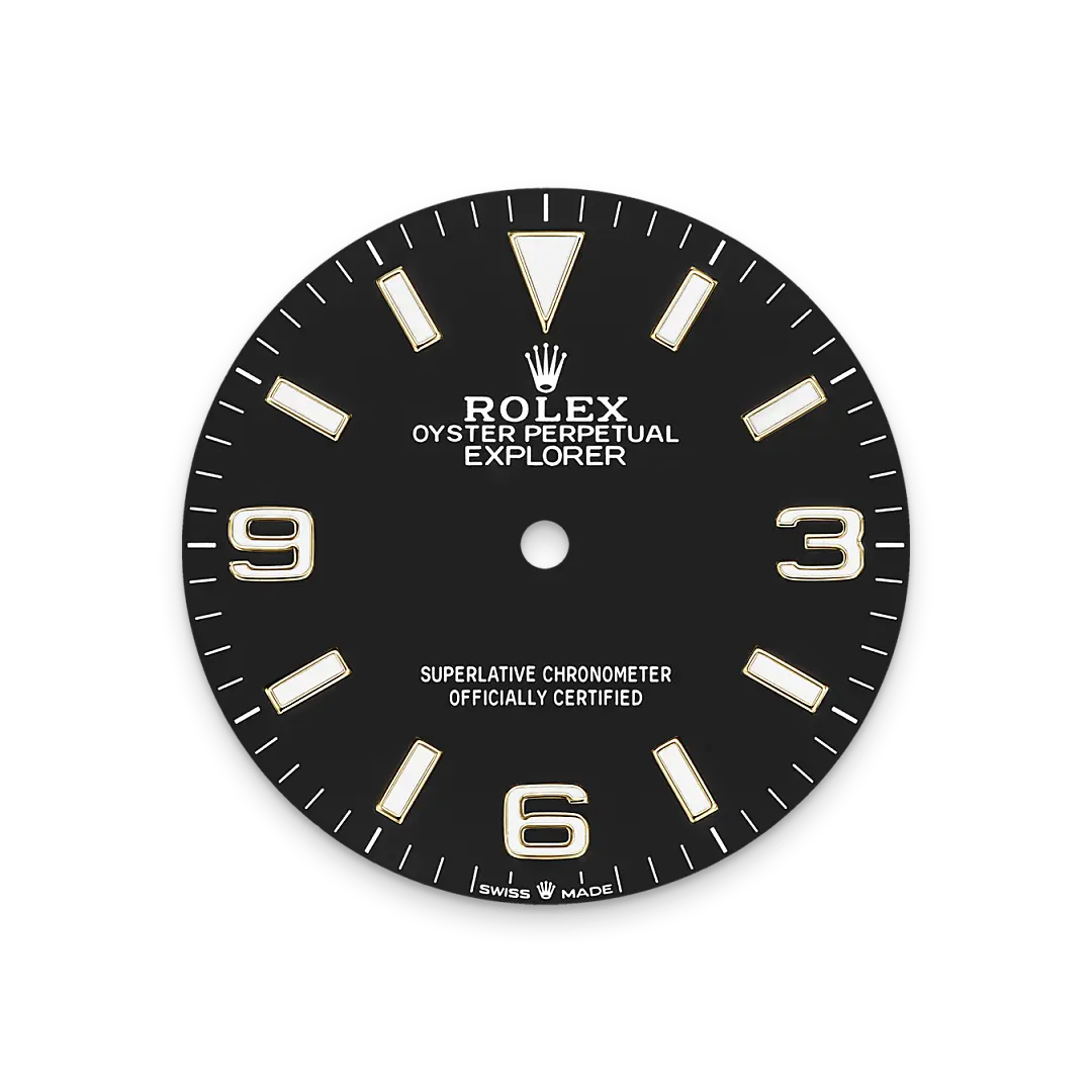 Rolex Explorer in Yellow Rolesor - combination of Oystersteel and yellow gold, M124273-0001 - Watch Palace