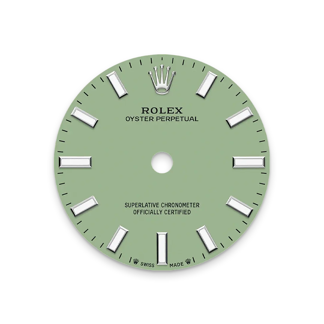 Rolex Oyster Perpetual in Oystersteel, M276200-0006 - Watch Palace