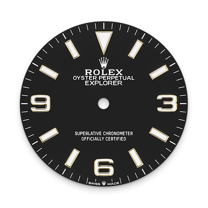 Rolex Explorer in Yellow Rolesor - combination of Oystersteel and yellow gold, M124273-0001 - Watch Palace