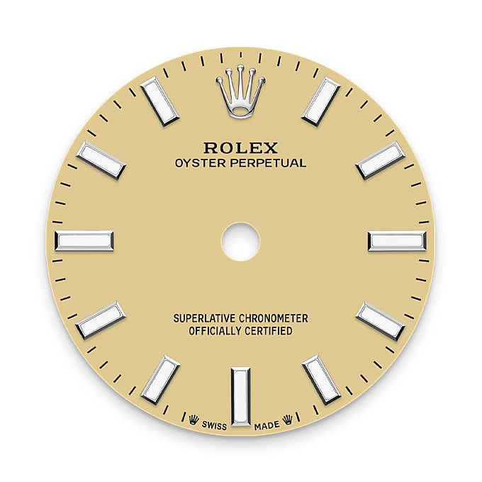 Rolex Oyster Perpetual in Oystersteel, M276200-0007 - Watch Palace