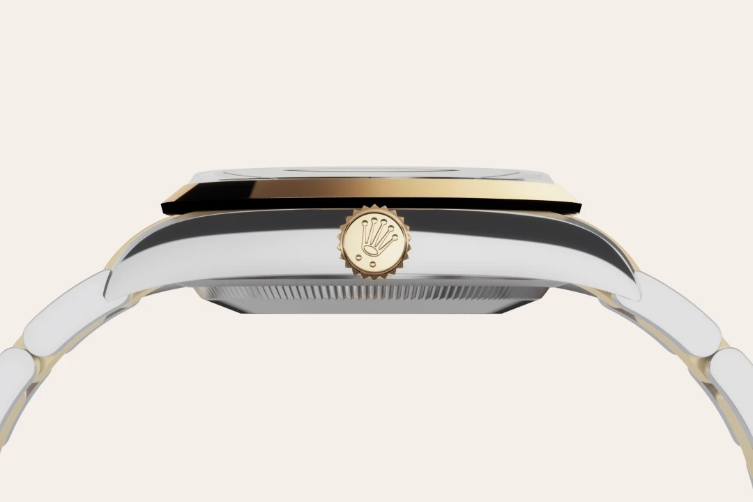 Rolex Explorer in Yellow Rolesor - combination of Oystersteel and yellow gold, M124273-0001 - Watch Palace