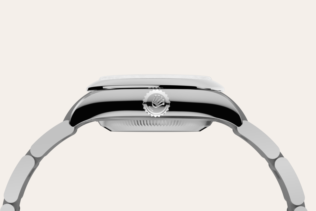 Rolex Oyster Perpetual in Oystersteel, M276200-0010 - Watch Palace