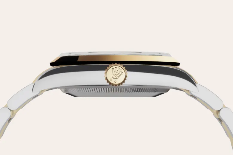 Rolex Explorer in Yellow Rolesor - combination of Oystersteel and yellow gold, M124273-0001 - Watch Palace