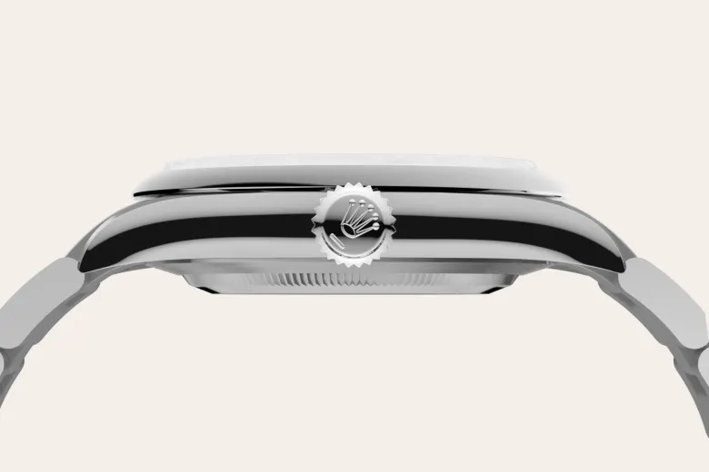 Rolex Oyster Perpetual in Oystersteel, M134300-0004 - Watch Palace