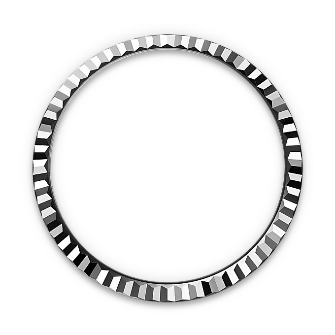 Rolex Land-Dweller in White Rolesor - combination of Oystersteel and white gold, M127234-0001 - Watch Palace