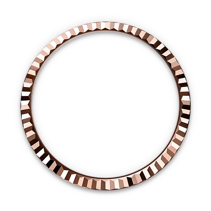 Rolex Land-Dweller in 18 ct Everose gold, M127235-0001 - Watch Palace