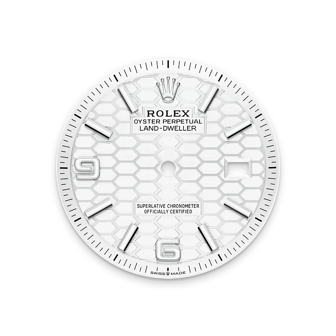 Rolex Land-Dweller in White Rolesor - combination of Oystersteel and white gold, M127234-0001 - Watch Palace