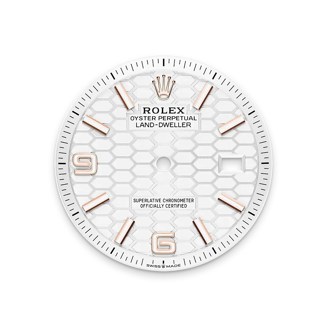 Rolex Land-Dweller in 18 ct Everose gold, M127235-0001 - Watch Palace