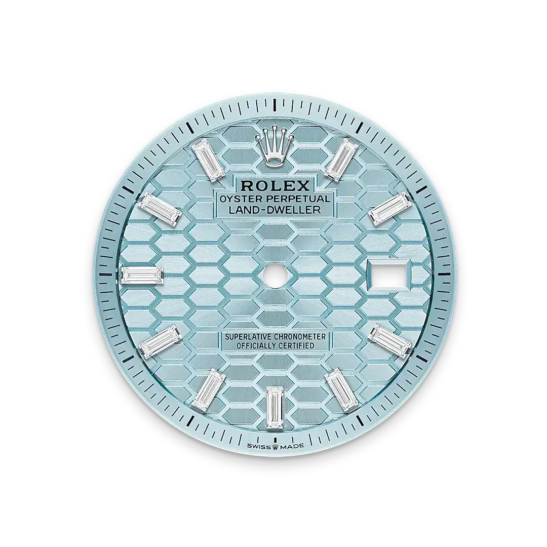 Rolex Land-Dweller in Platinum, M127286TBR-0001 - Watch Palace