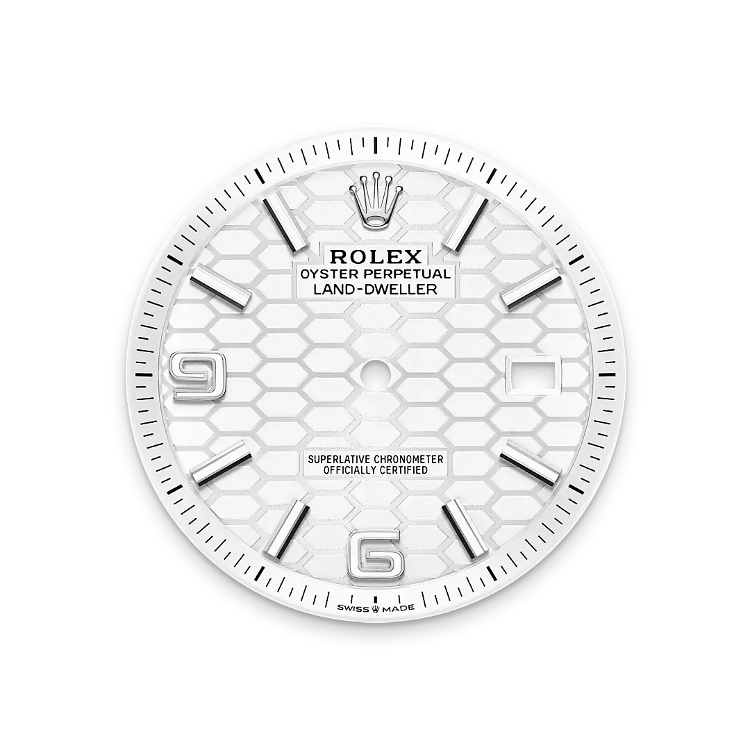 Rolex Land-Dweller in White Rolesor - combination of Oystersteel and white gold, M127334-0001 - Watch Palace
