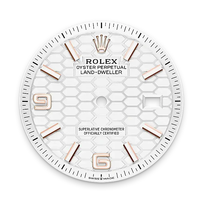 Rolex Land-Dweller in 18 ct Everose gold, M127235-0001 - Watch Palace