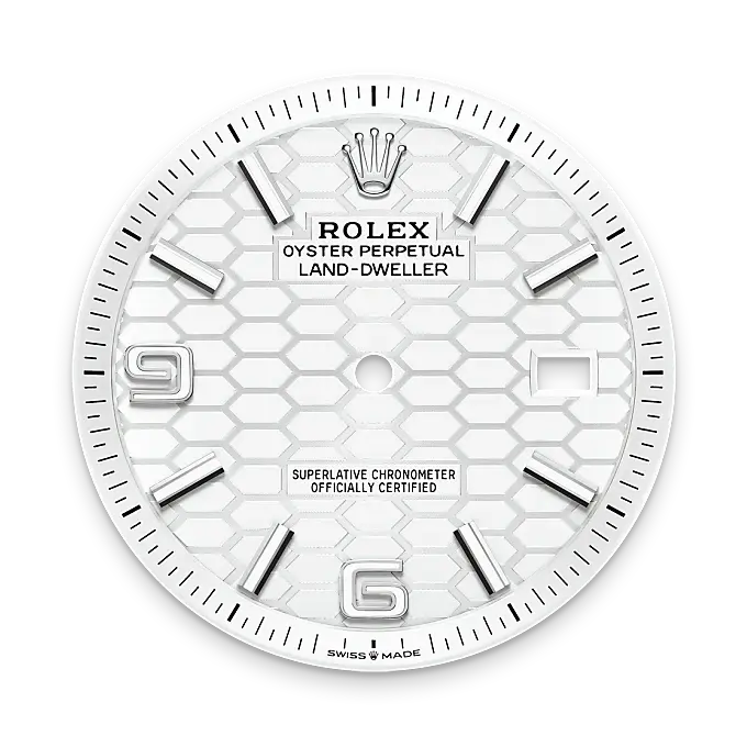 Rolex Land-Dweller in White Rolesor - combination of Oystersteel and white gold, M127334-0001 - Watch Palace