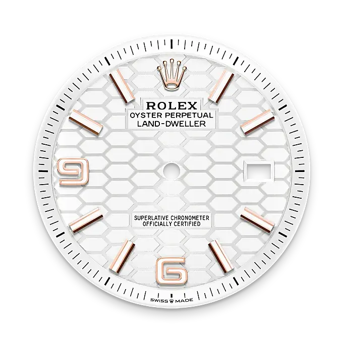 Rolex Land-Dweller in 18 ct Everose gold, M127335-0001 - Watch Palace