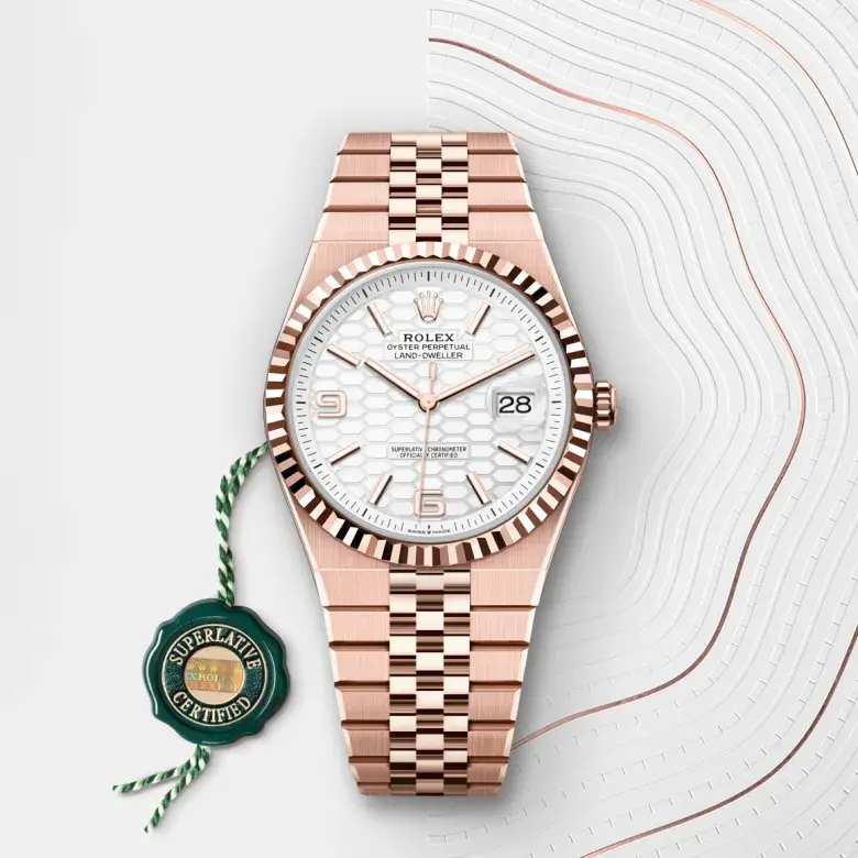 Rolex Land-Dweller M127335-0001 - Watch Palace, Third image