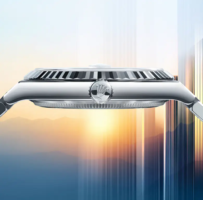 Rolex Land-Dweller - Watch Palace