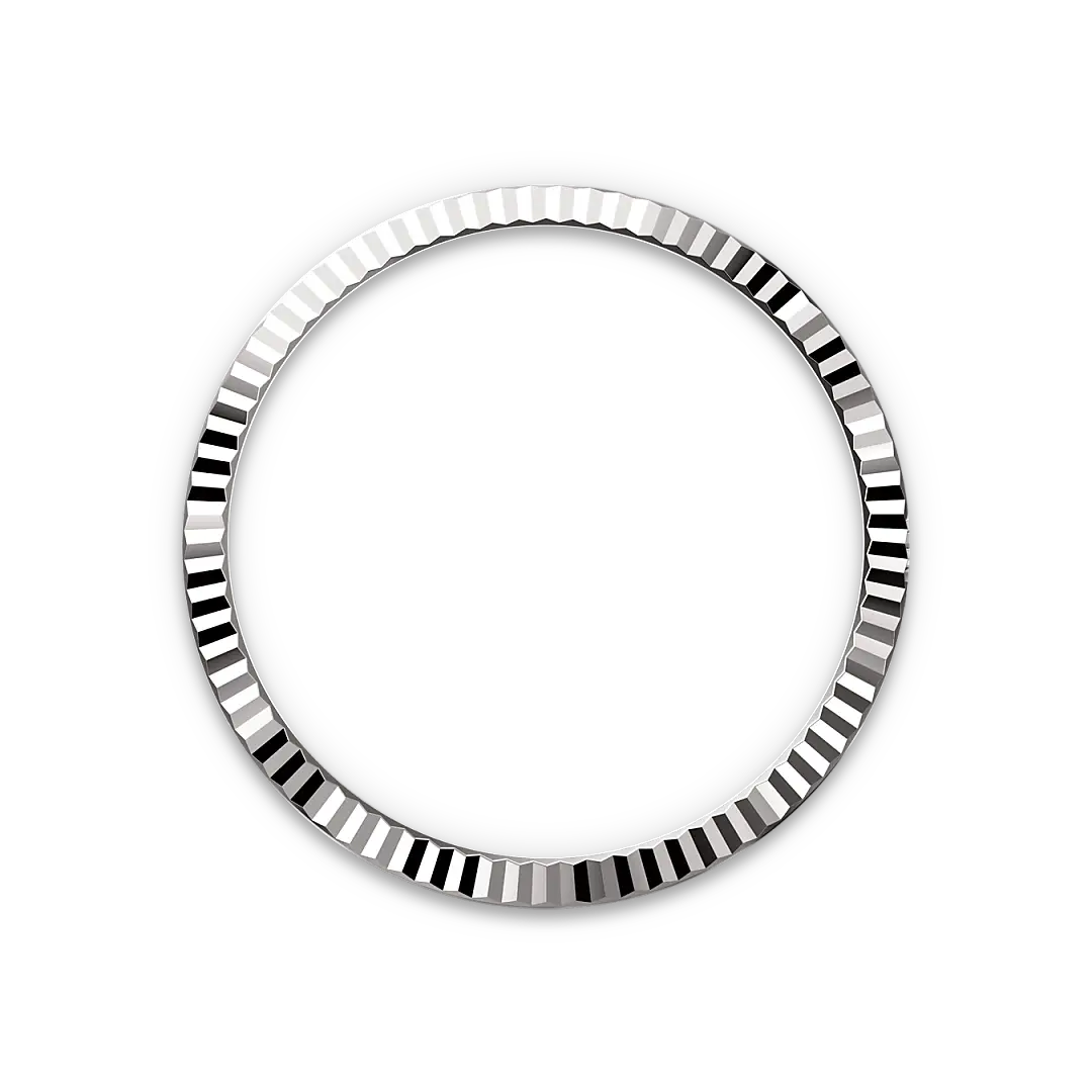 rolex datejust in white rolesor, M126234-0059- watch palace