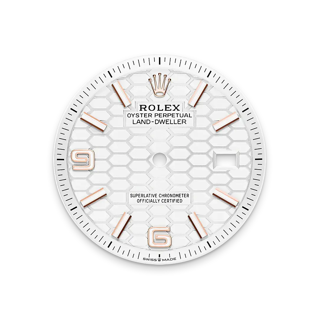 rolex land-dweller in 18 ct everose gold, m127235-0001 - watch palace
