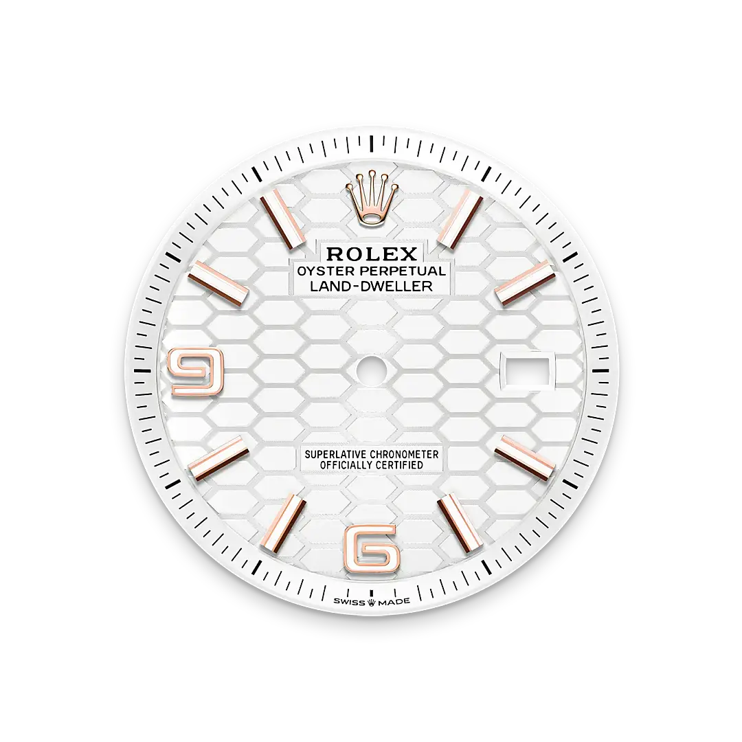 rolex land-dweller in 18 ct everose gold, m127335-0001 - watch palace