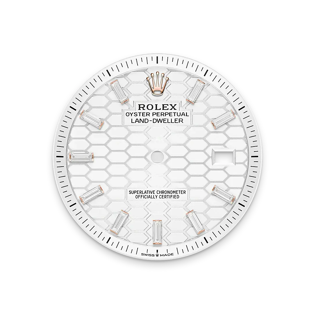 rolex land-dweller in 18 ct everose gold, M127385TBR-0003- watch palace