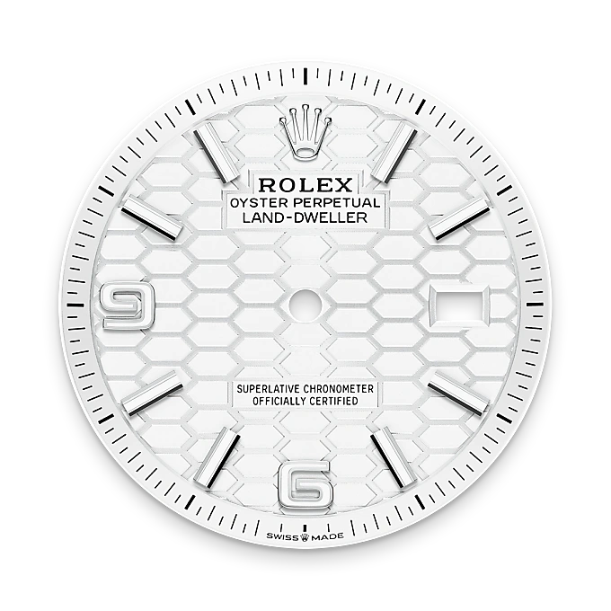 rolex land-dweller in white rolesor, m127234-0001 - watch palace