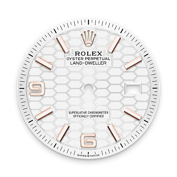 rolex land-dweller in 18 ct everose gold, m127235-0001 - watch palace