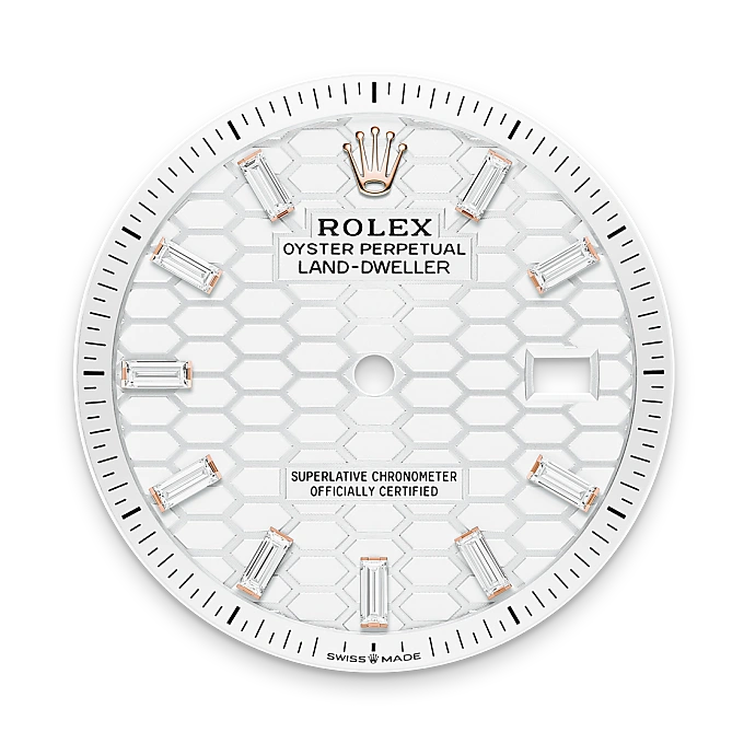 rolex land-dweller in 18 ct everose gold, m127285tbr-0002 - watch palace