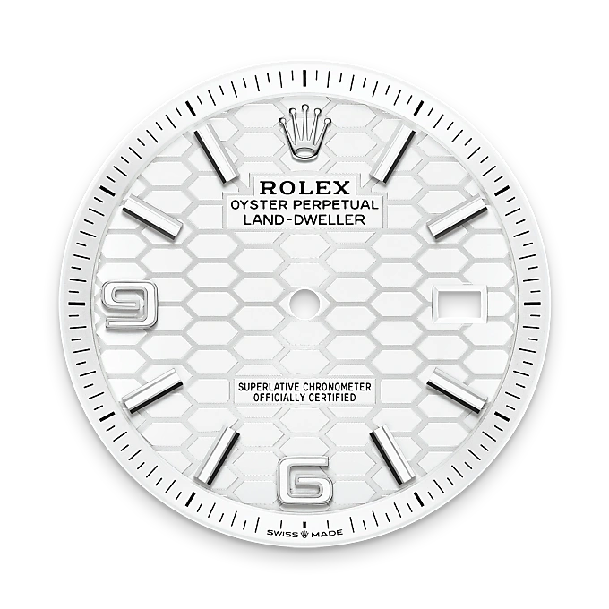 rolex land-dweller in white rolesor, m127334-0001 - watch palace