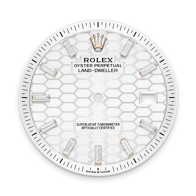 rolex land-dweller in 18 ct everose gold, M127385TBR-0003- watch palace