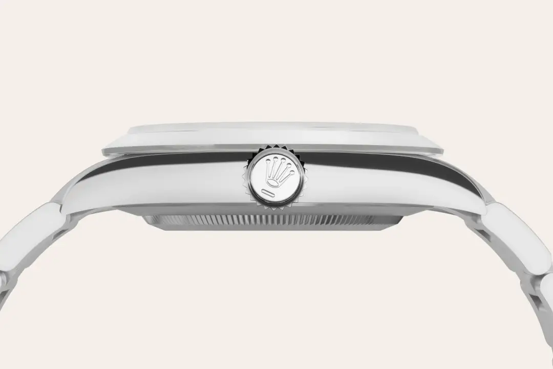 rolex explorer in oystersteel, m224270-0001 - watch palace