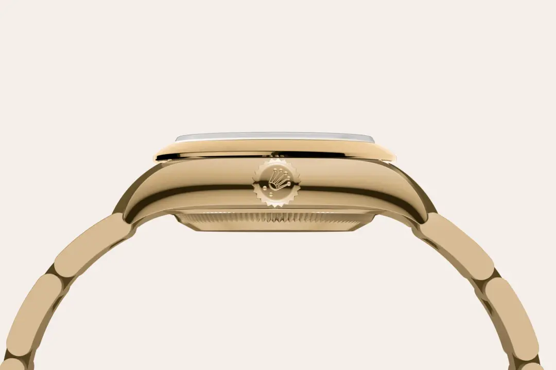 rolex oyster perpetual in 18 ct yellow gold, m276208-0002 - watch palace
