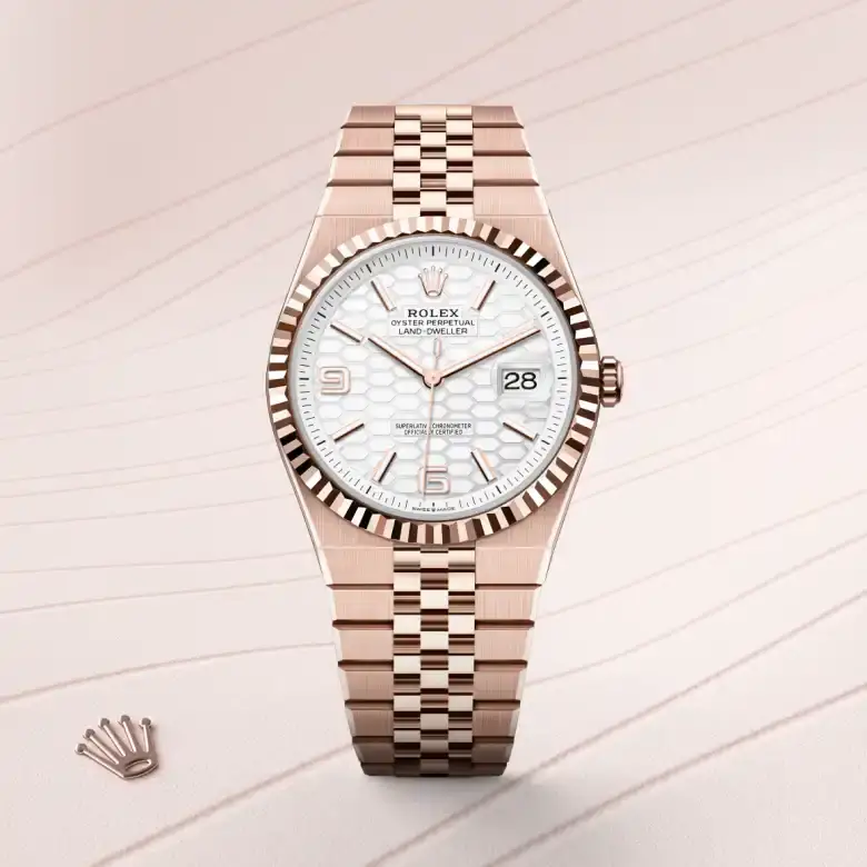 rolex land-dweller in 18 ct everose gold, m127335-0001 - watch palace, First image