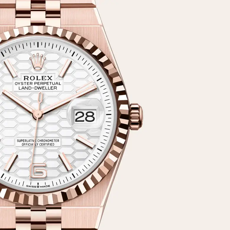 rolex land-dweller in 18 ct everose gold, m127235-0001 - watch palace, Third image