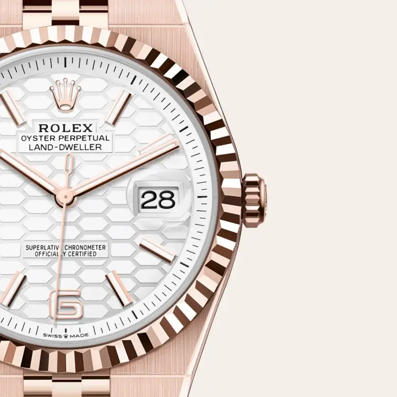 rolex land-dweller in 18 ct everose gold, m127335-0001 - watch palace, Third image