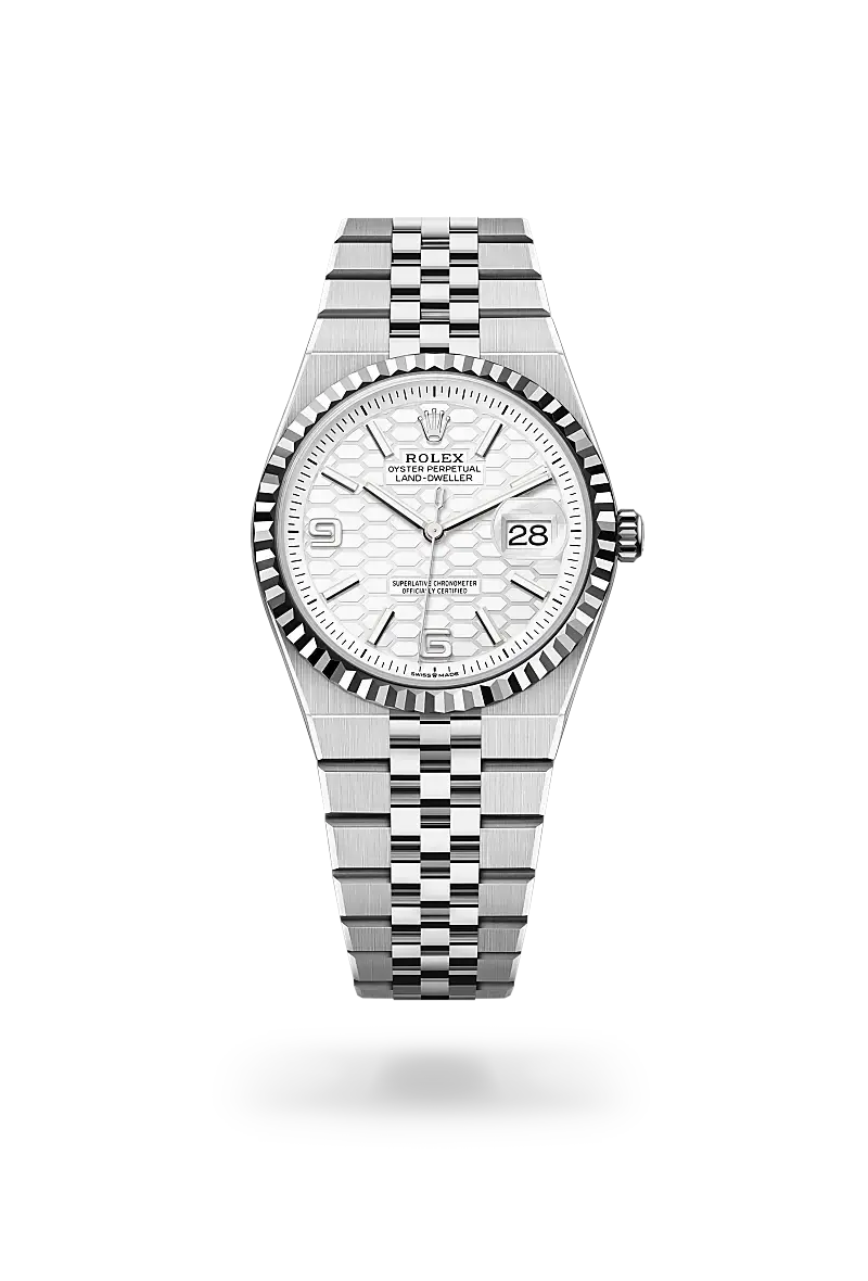 rolex land-dweller in white rolesor, m127234-0001 - watch palace