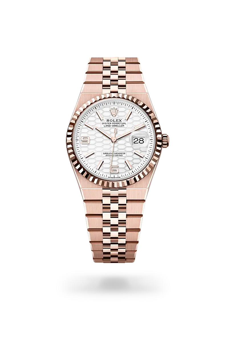 rolex land-dweller in 18 ct everose gold, m127235-0001 - watch palace