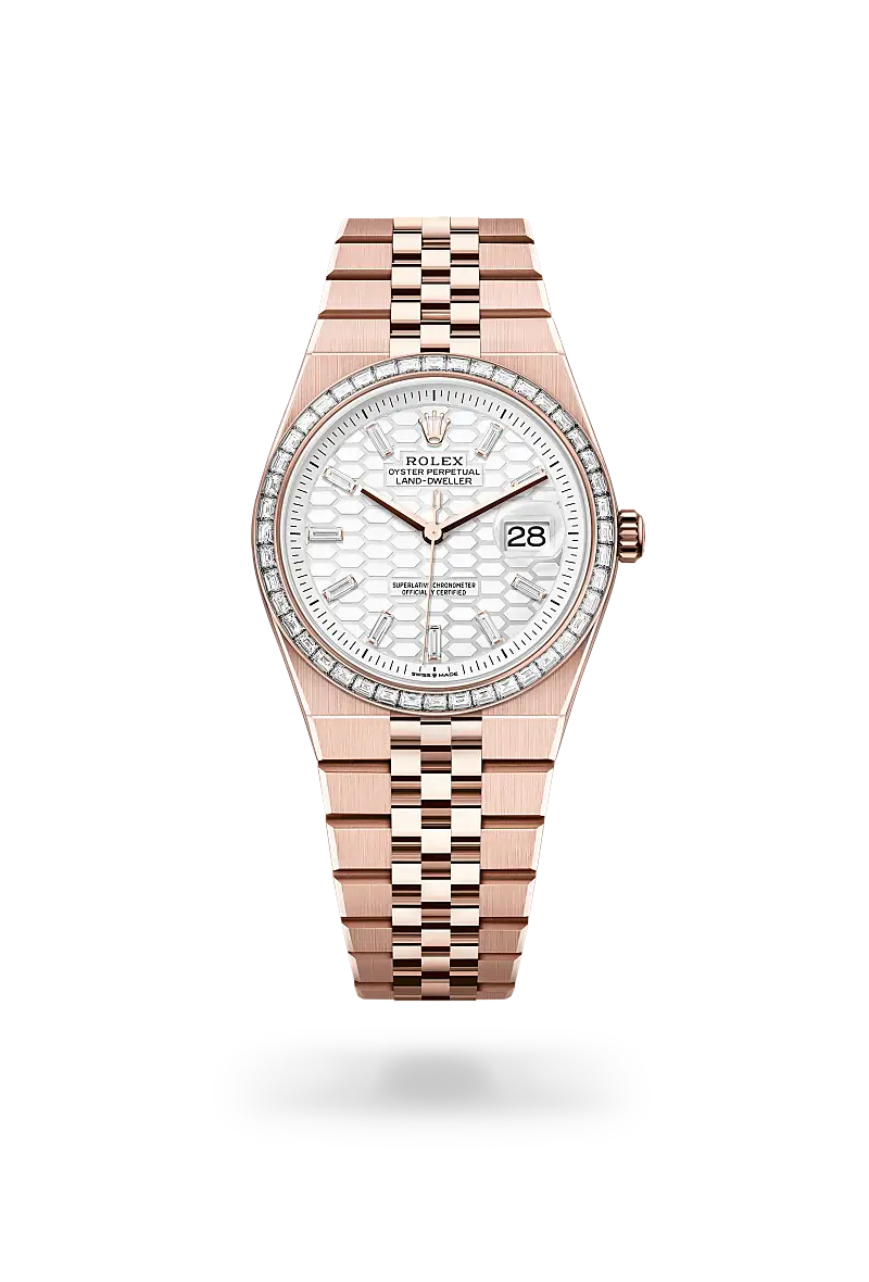 rolex land-dweller in 18 ct everose gold, m127285tbr-0002 - watch palace