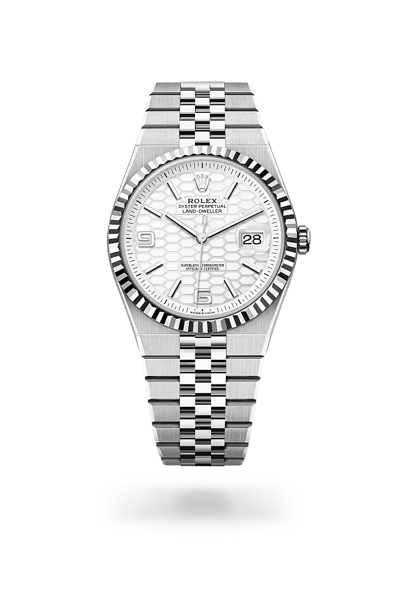 rolex land-dweller in white rolesor, m127334-0001 - watch palace