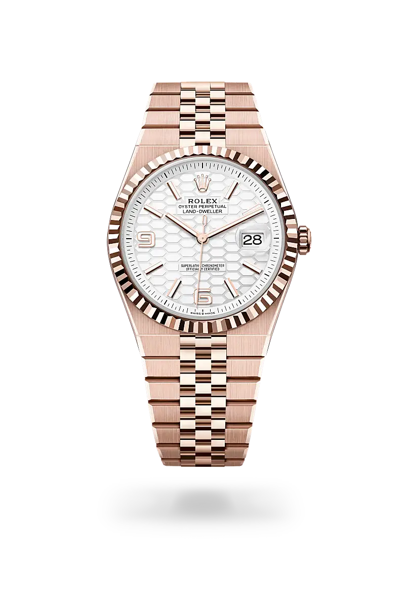 rolex land-dweller in 18 ct everose gold, m127335-0001 - watch palace