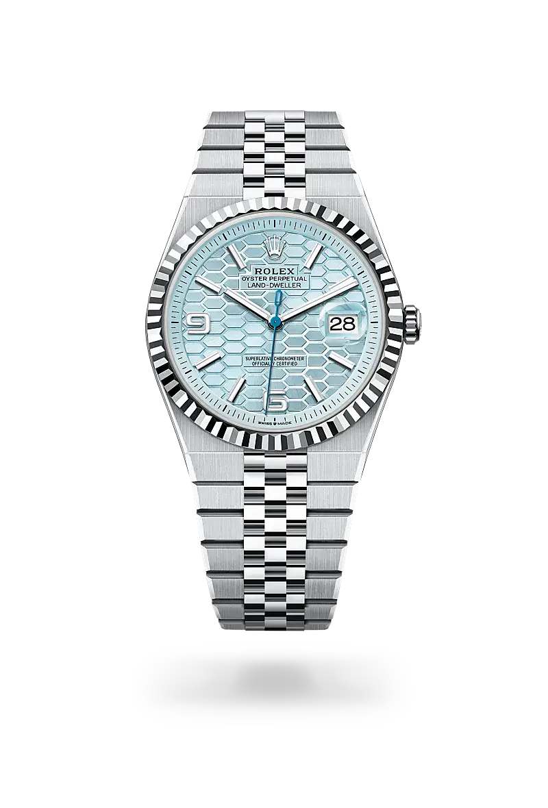 rolex land-dweller in platinum, m127336-0001 - watch palace