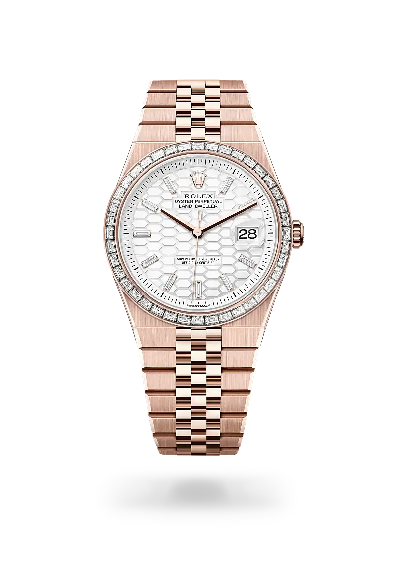 rolex land-dweller in 18 ct everose gold, M127385TBR-0003- watch palace