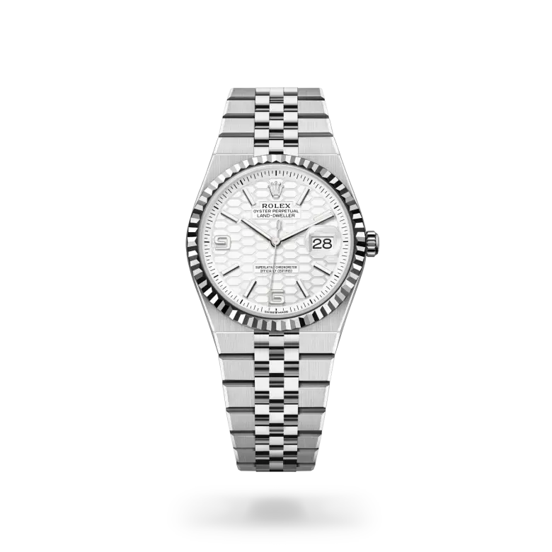 rolex land-dweller in white rolesor, m127234-0001 - watch palace