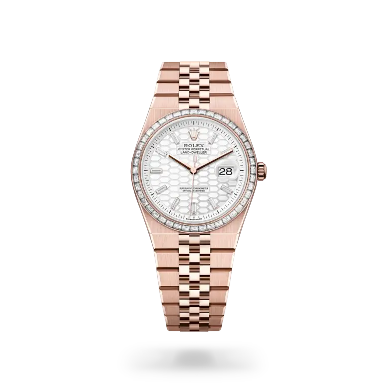 rolex land-dweller in 18 ct everose gold, m127285tbr-0002 - watch palace