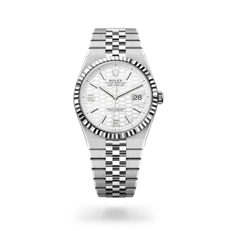 rolex land-dweller in white rolesor, m127334-0001 - watch palace