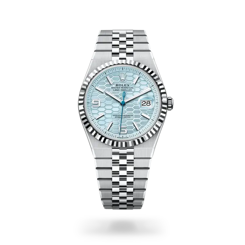 rolex land-dweller in platinum, m127336-0001 - watch palace
