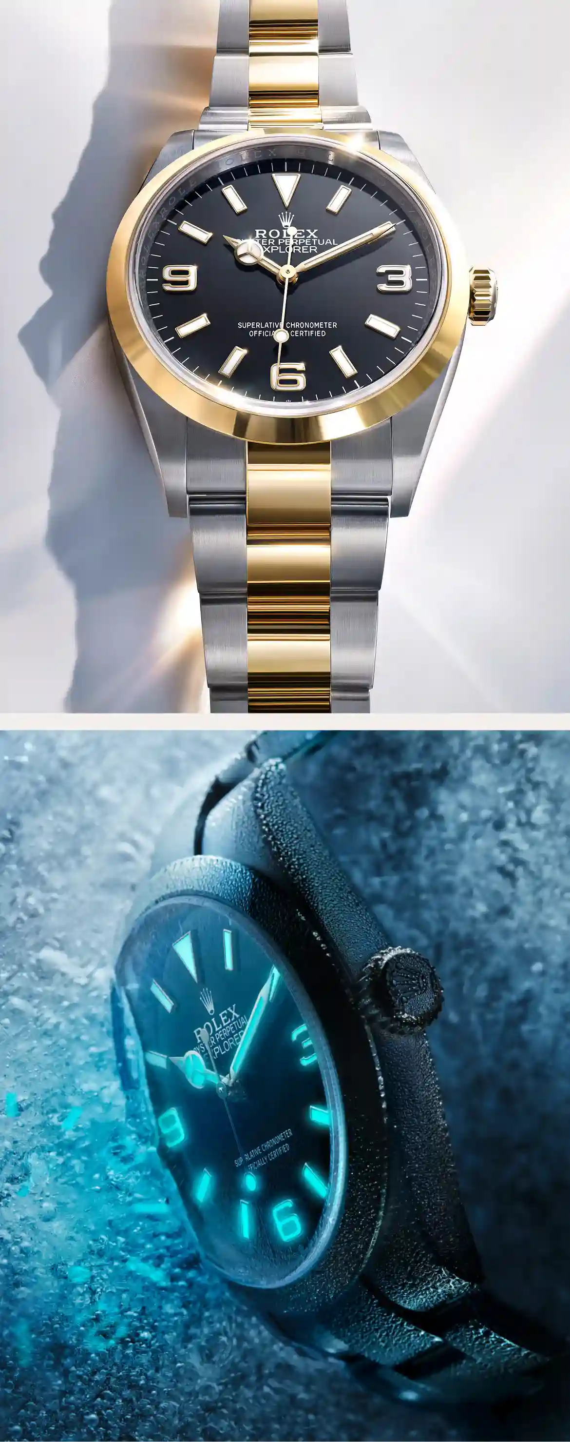Rolex Explorer - Watch Palace