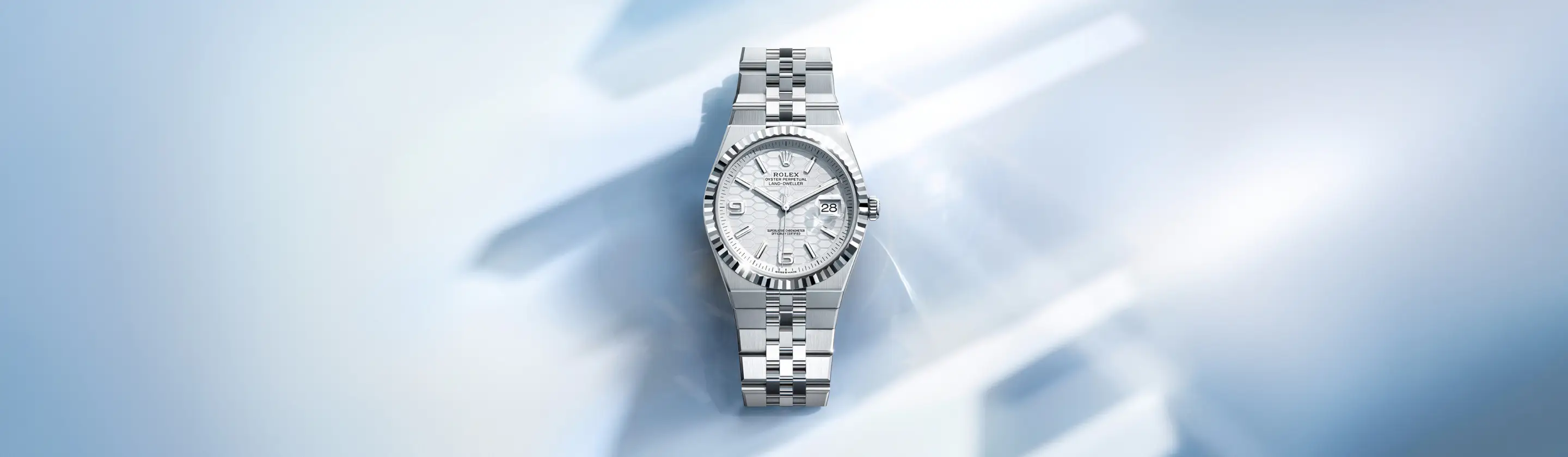 Rolex Land-Dweller - Watch Palace