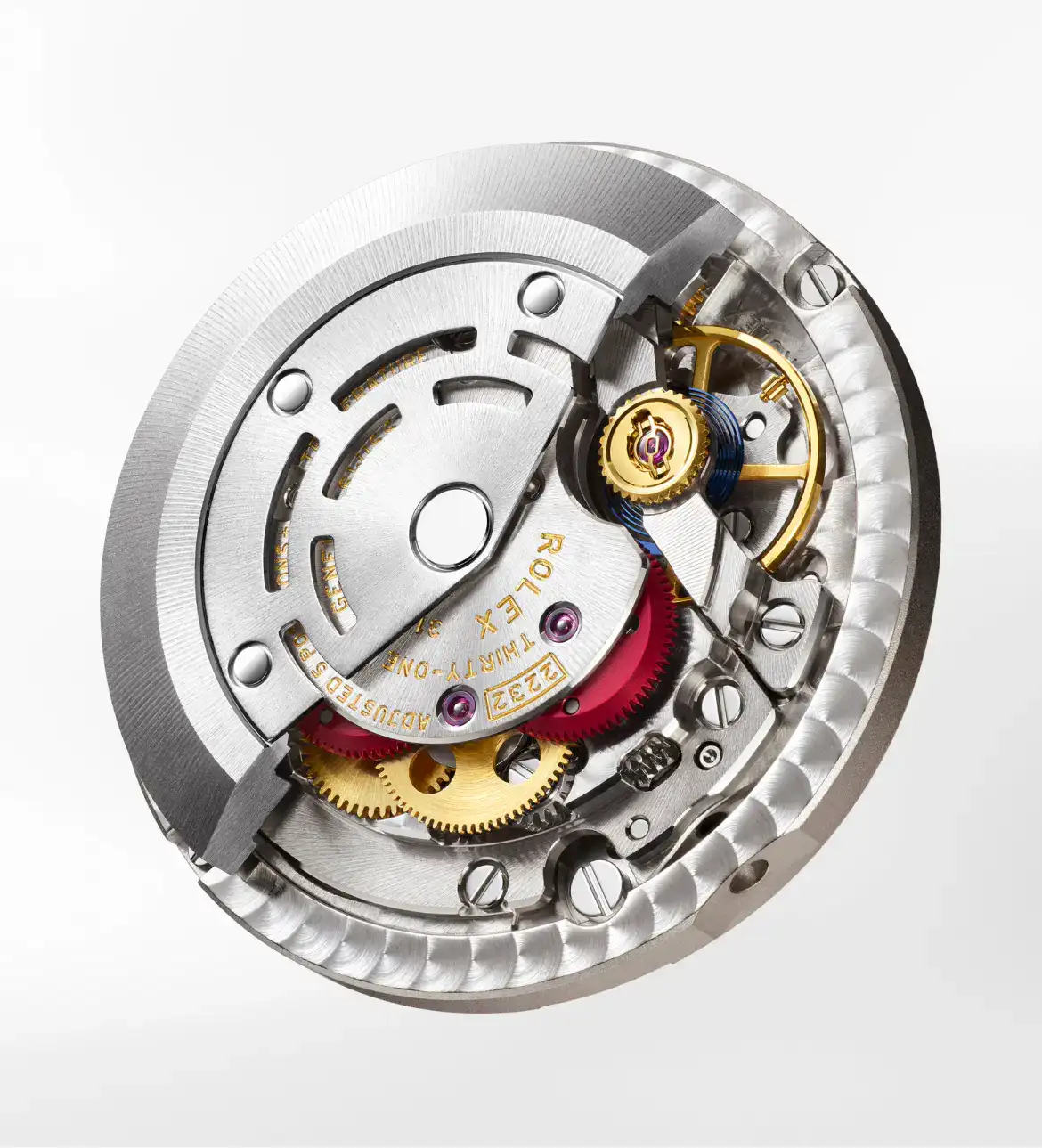 Rolex Oyster Perpetual 28 & 34 - Watch Palace